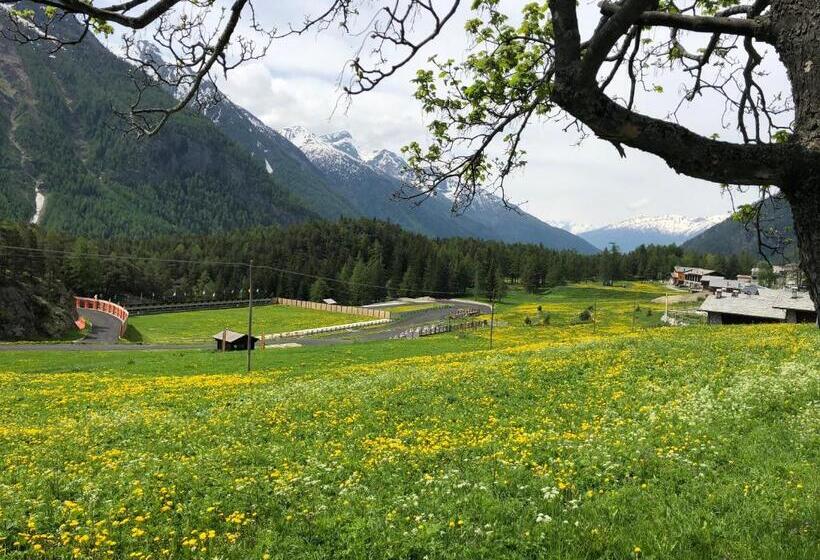 민박 Maison Constance