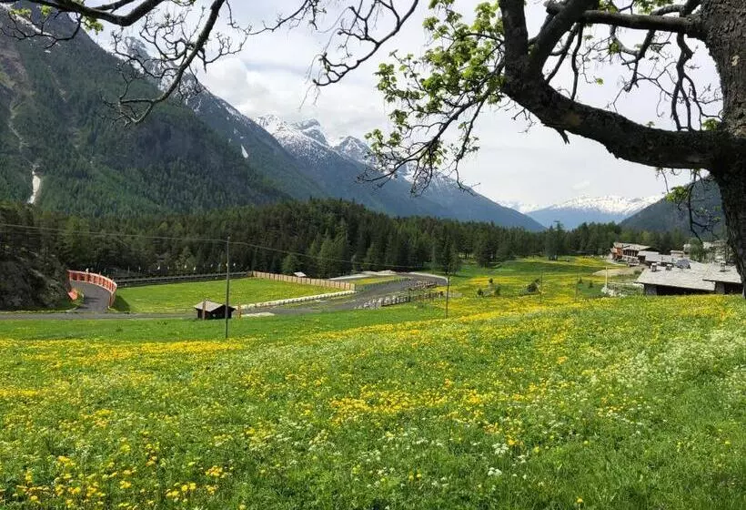 Aamiaismajoitus (B&B) Maison Constance