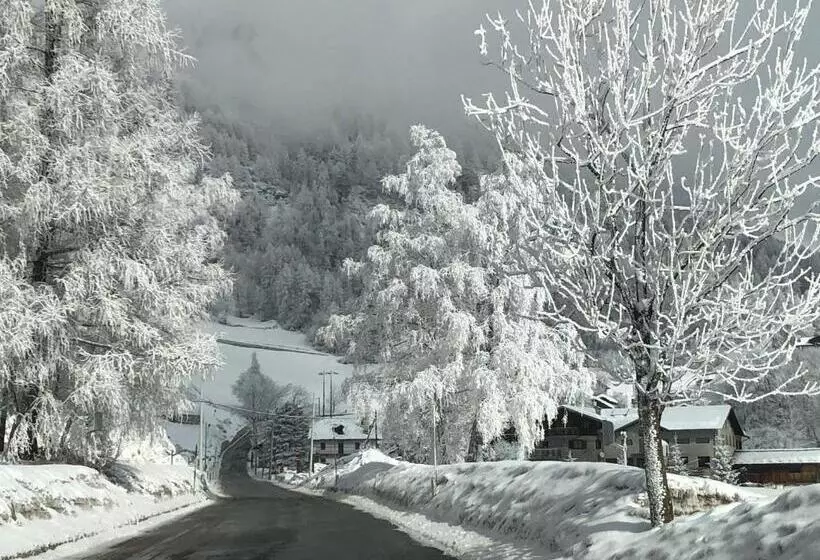 Aamiaismajoitus (B&B) Maison Constance