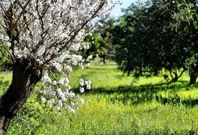ベッドアンドブレックファースト Mater Bed & Food Riserva Naturale Di Torre Guaceto