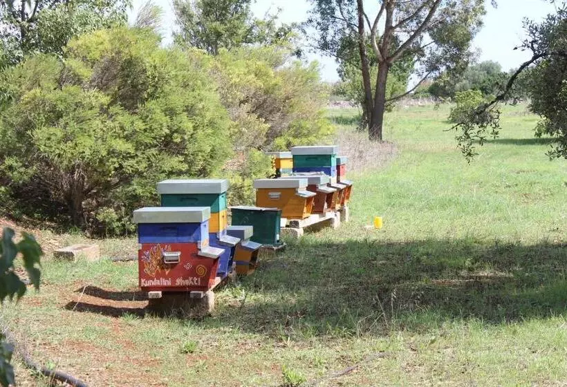 ベッドアンドブレックファースト Mater Bed & Food Riserva Naturale Di Torre Guaceto
