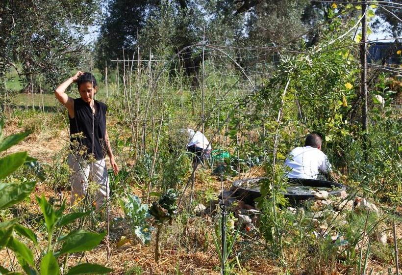 צימר Mater Bed & Food Riserva Naturale Di Torre Guaceto