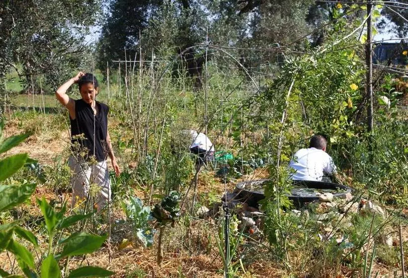 ベッドアンドブレックファースト Mater Bed & Food Riserva Naturale Di Torre Guaceto