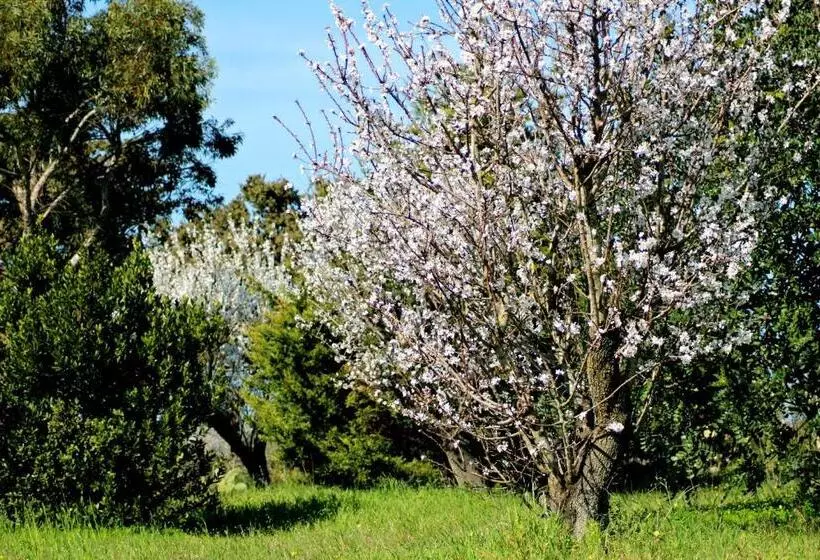 ベッドアンドブレックファースト Mater Bed & Food Riserva Naturale Di Torre Guaceto