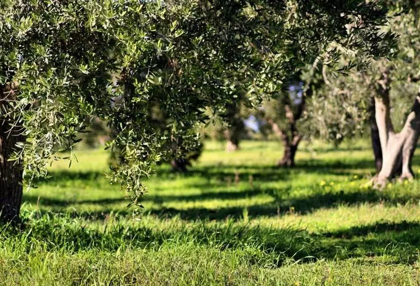 ベッドアンドブレックファースト Mater Bed & Food Riserva Naturale Di Torre Guaceto