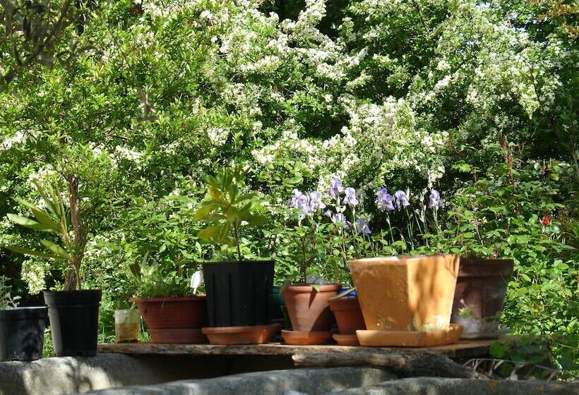 Bed & Breakfast Il Melograno