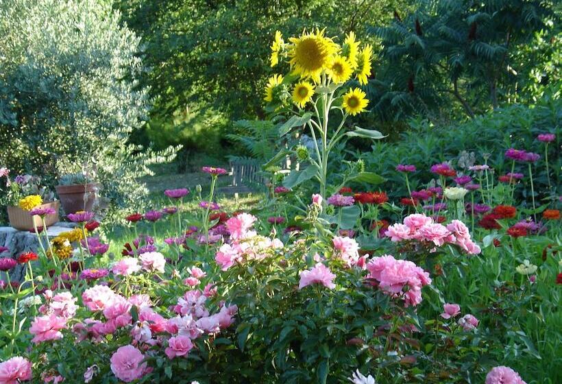 Bed & Breakfast Il Melograno