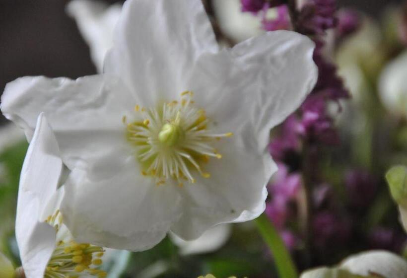 ホテル Frühstückspension Seeberghof