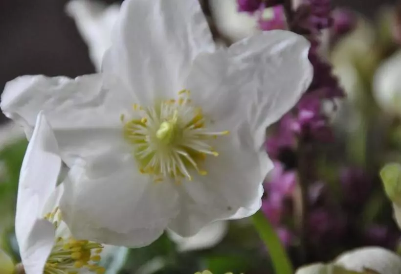 Hotelli Frühstückspension Seeberghof