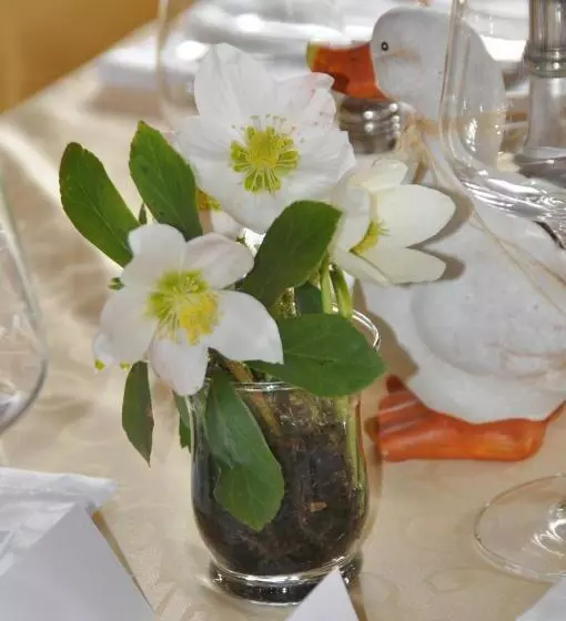 Hotelli Frühstückspension Seeberghof