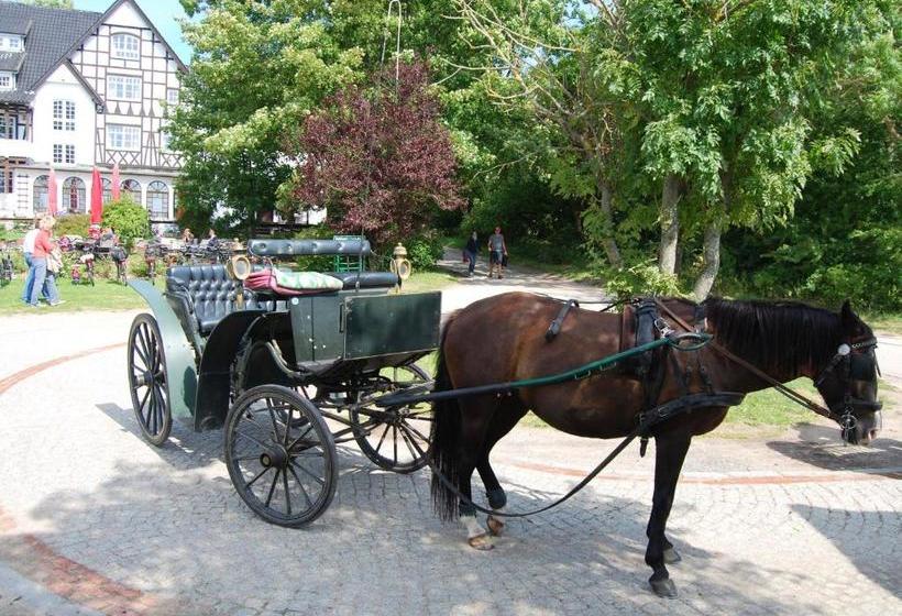 Отель Hiddensee Hitthim