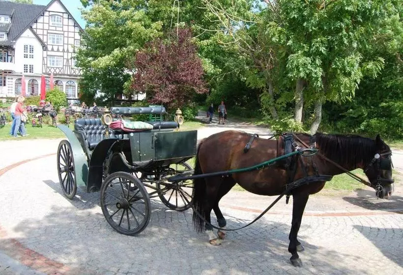 Hotelli Hiddensee Hitthim