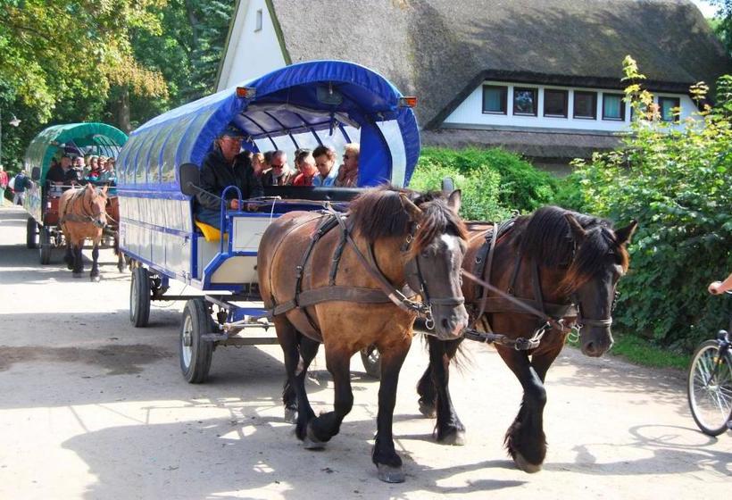 Отель Hiddensee Hitthim