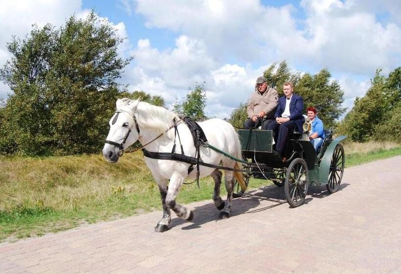 Отель Hiddensee Hitthim