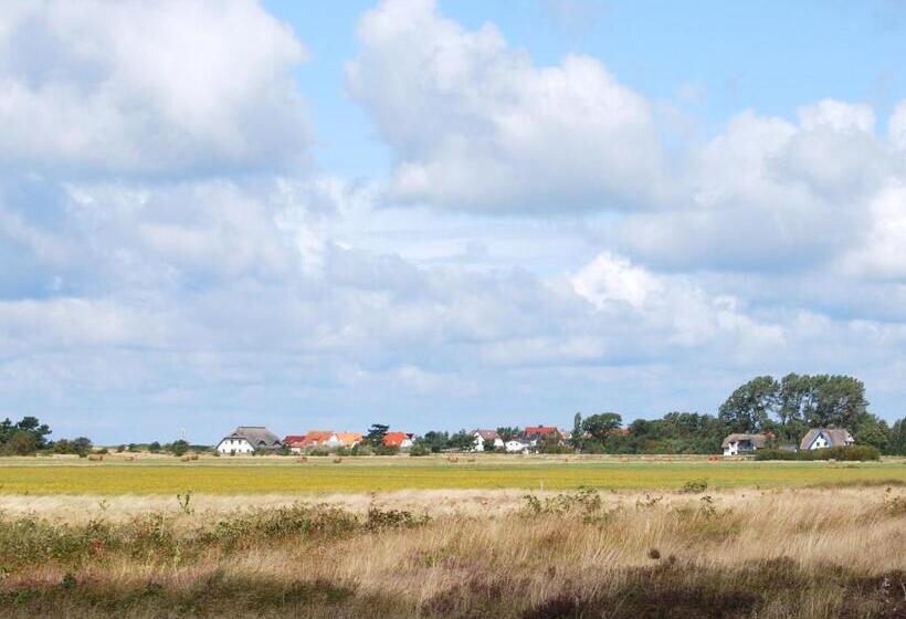 Отель Hiddensee Hitthim