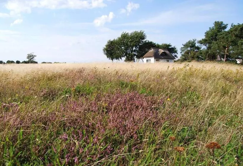 Hotelli Hiddensee Hitthim