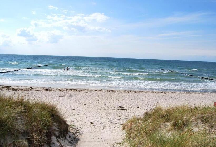 Отель Hiddensee Hitthim