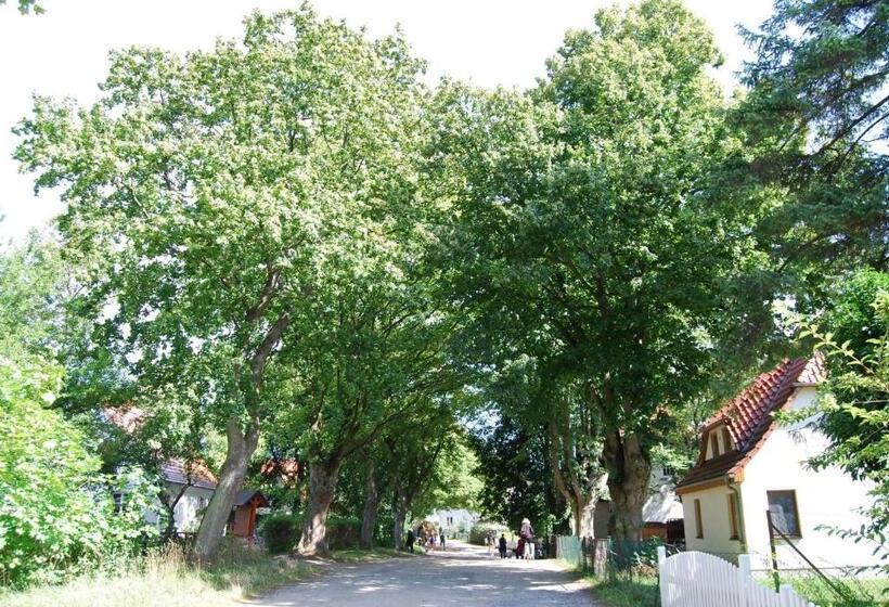 Отель Hiddensee Hitthim