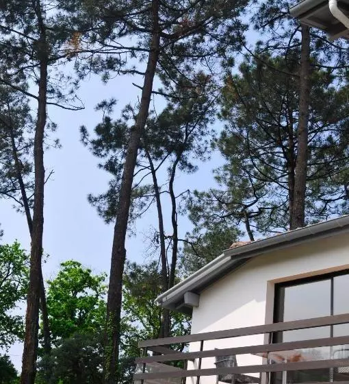 ホテル Hôtel Les Fougères   Hossegor