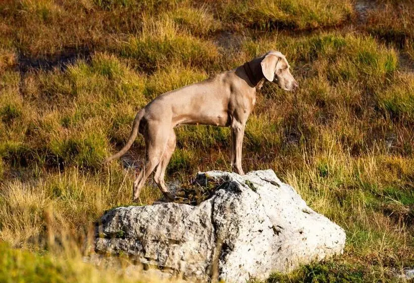 Hotelli Ospizio La Veduta
