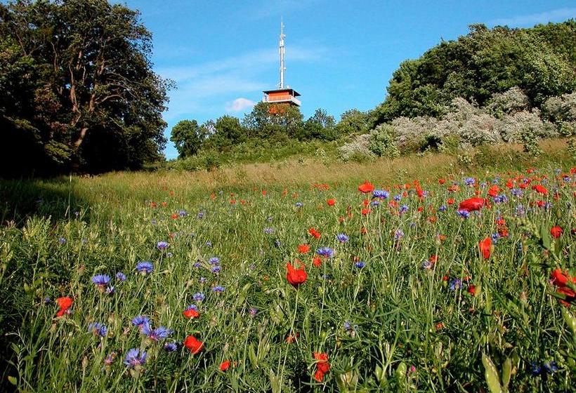 Bed and Breakfast Haus Mönchgut