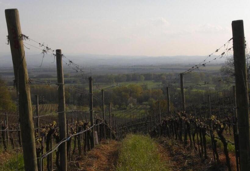 Bed & Breakfast Sforza 19