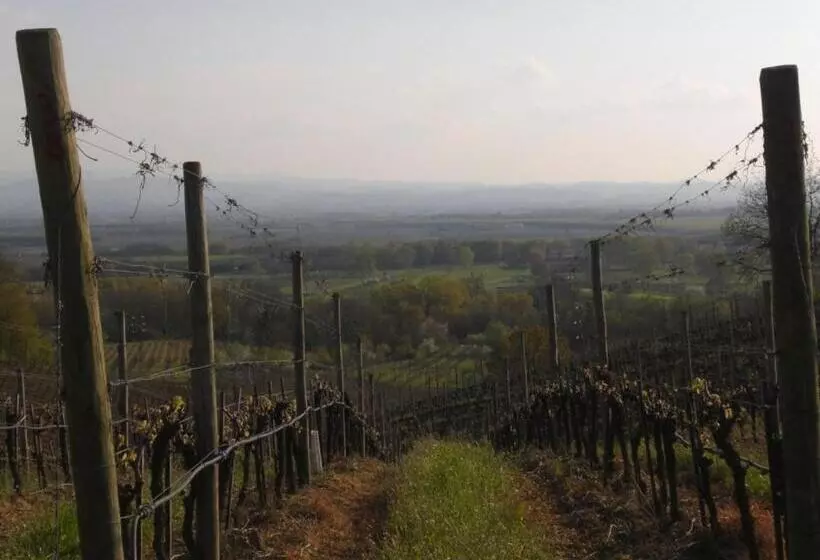 Bed & Breakfast Sforza 19