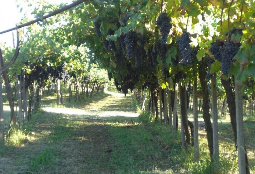 Bed & Breakfast Sforza 19