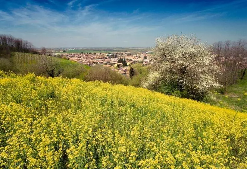 Bed & Breakfast Sforza 19