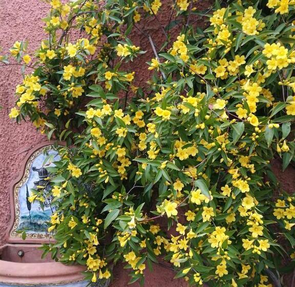 Giusy Bed And Breakfast