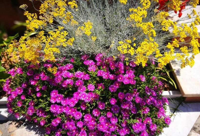 Giusy Bed And Breakfast