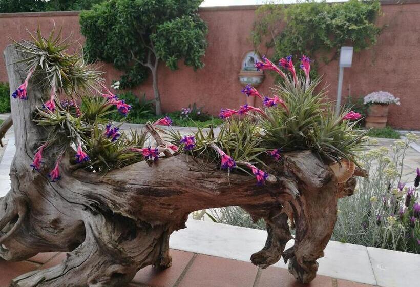 Giusy Bed And Breakfast