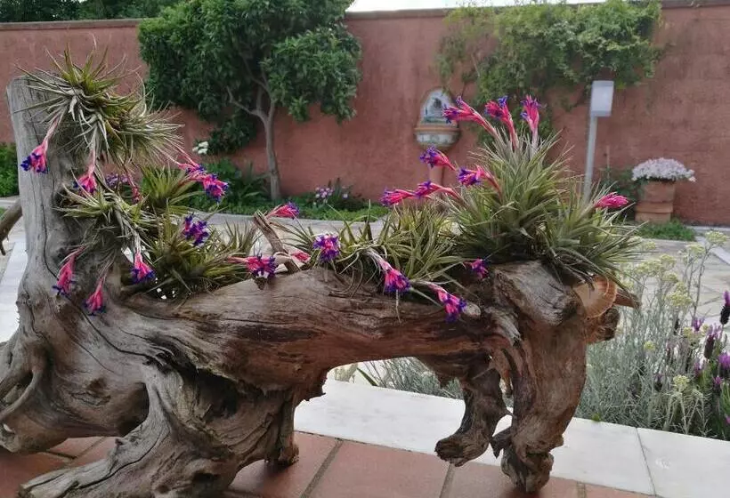 Giusy Bed And Breakfast