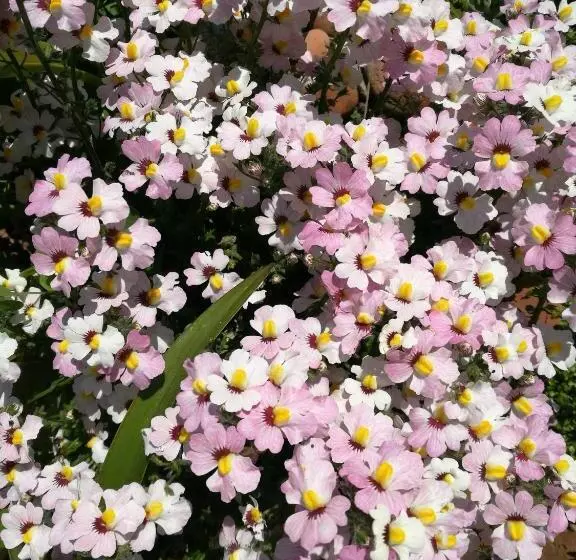 Giusy Bed And Breakfast