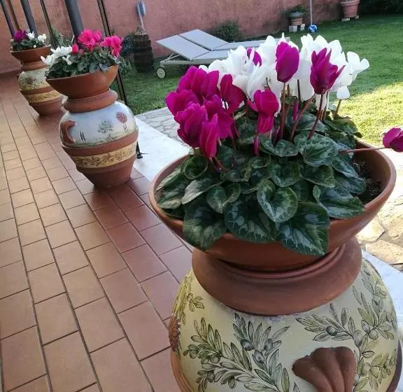 Giusy Bed And Breakfast