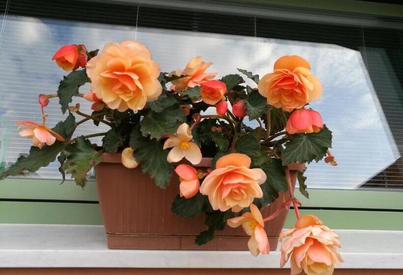 Giusy Bed And Breakfast