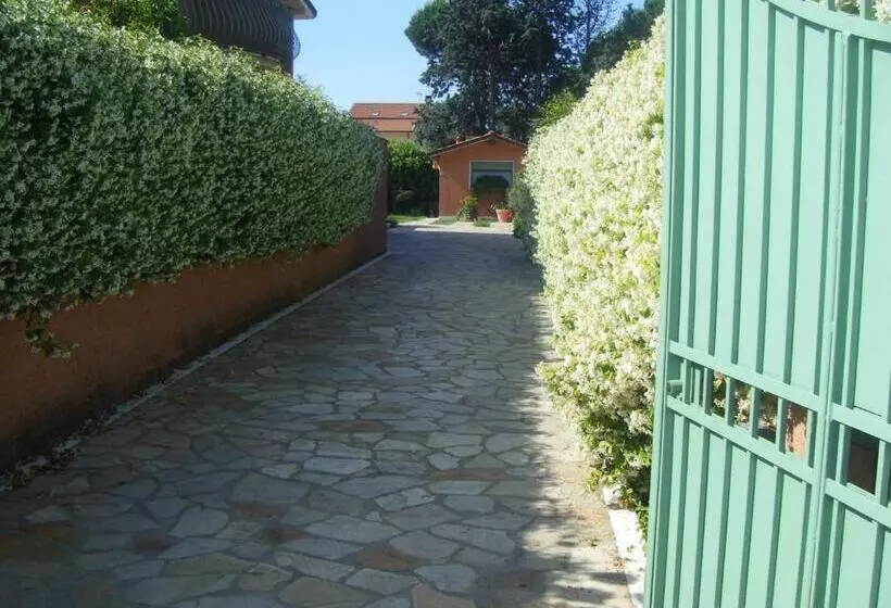 Giusy Bed And Breakfast