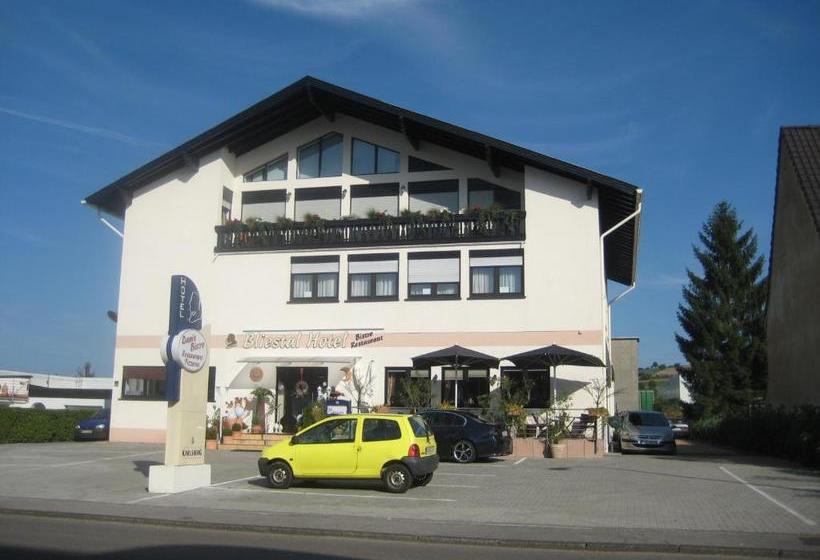 Hotel Bliestal
