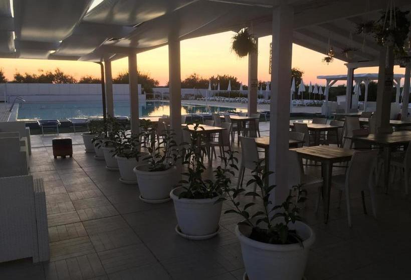 مبيت وإفطار Templum