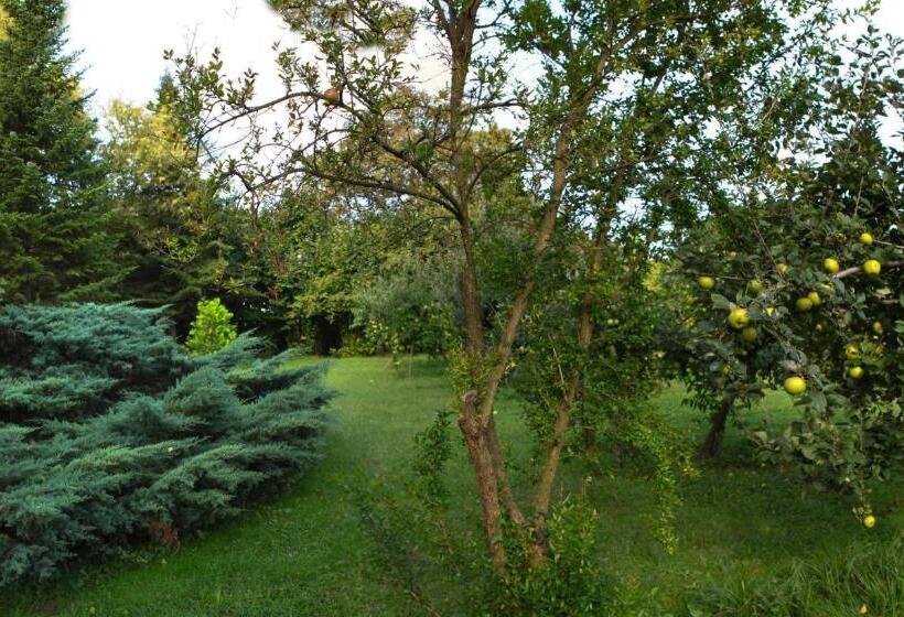 Bed and Breakfast Casa Filaferro