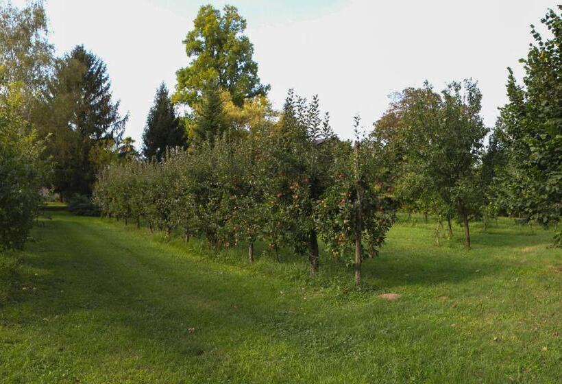 Bed and Breakfast Casa Filaferro