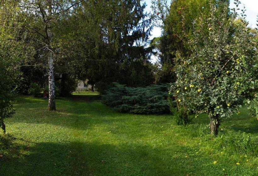 Bed and Breakfast Casa Filaferro