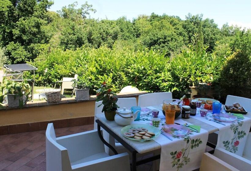 Bed and Breakfast Donna Etrusca