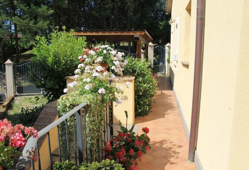 Bed and Breakfast Donna Etrusca