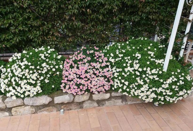 تختخواب و صبحانه Garden On The Sea