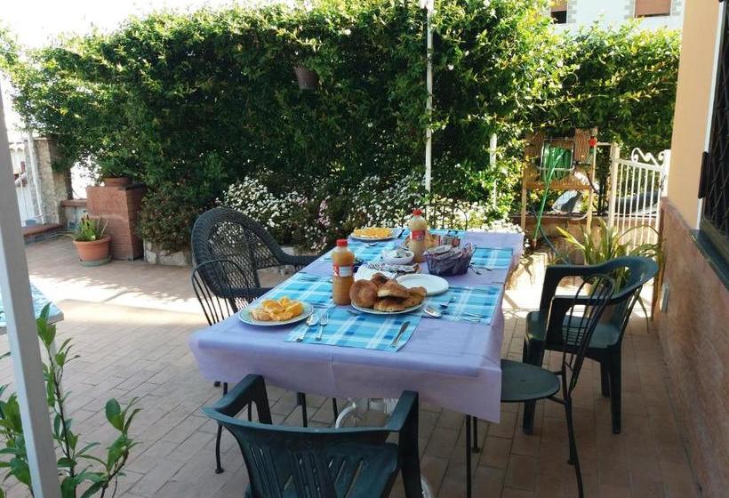 تختخواب و صبحانه Garden On The Sea