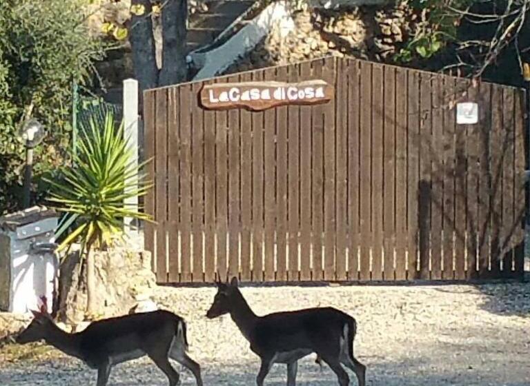 مبيت وإفطار La Casa Di Cosa