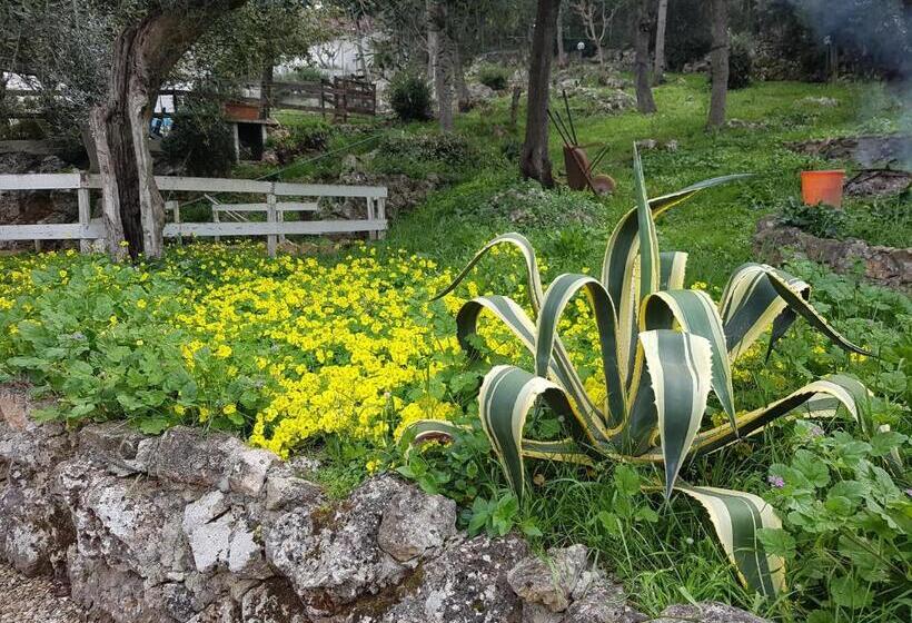 مبيت وإفطار La Casa Di Cosa