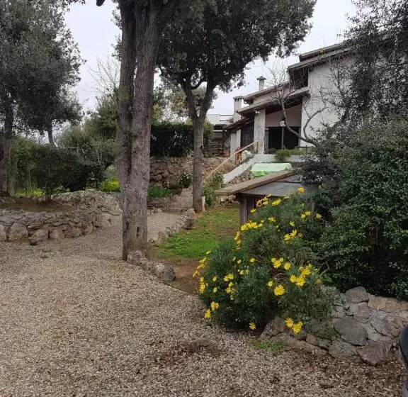 تختخواب و صبحانه La Casa Di Cosa