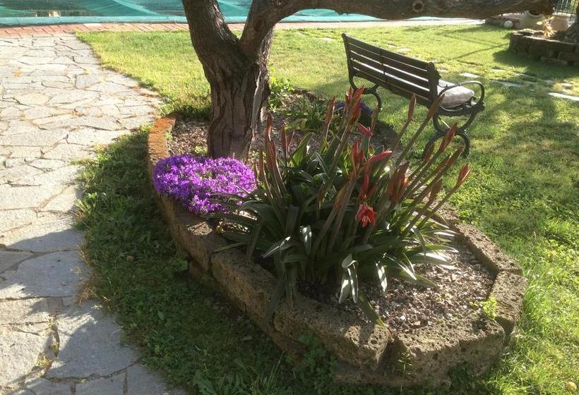 تختخواب و صبحانه Villetta Bisio